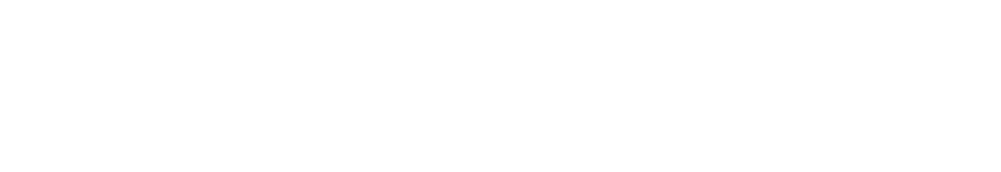 SerrBlind — tecnologie per la sicurezza